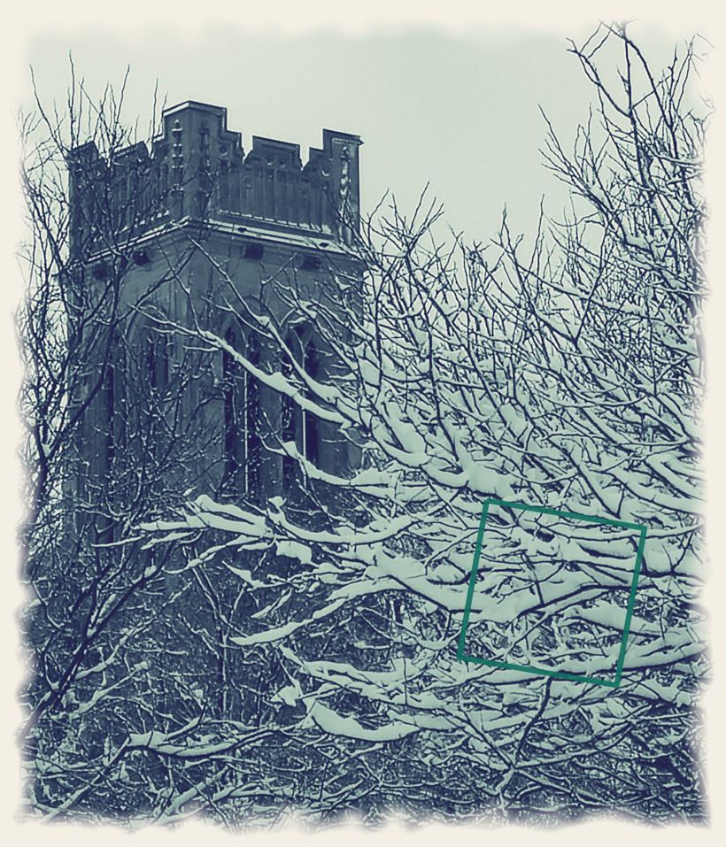 The Faithful Steward, an original photograph by John G. Geier III