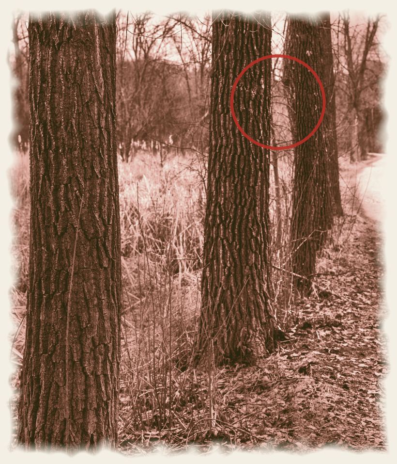 The Strong Vessel, an original photograph by John G. Geier III
