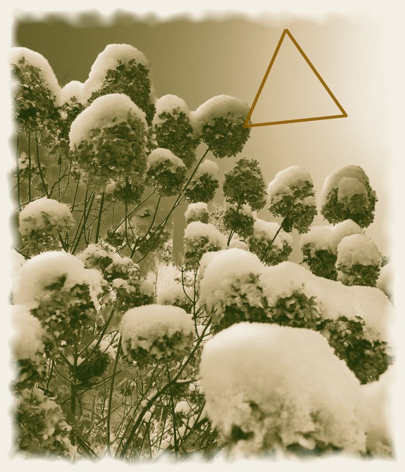 The Able Body, Quiet Gifts, an original photograph by John G. Geier III