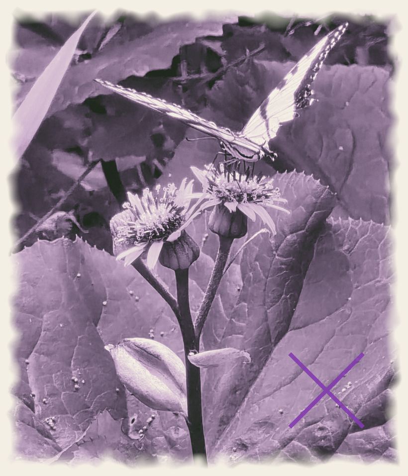 The Ready Hands, an original photograph by John G. Geier III