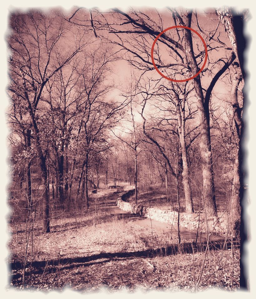 The Seeker, an original photograph by John G. Geier III